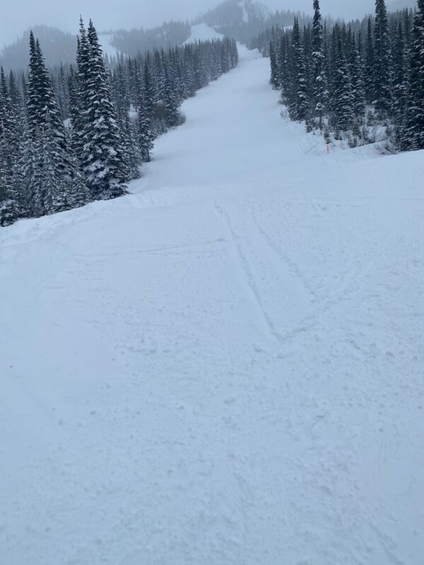 Kicking Horse, Canada. Image © PlanetSKI